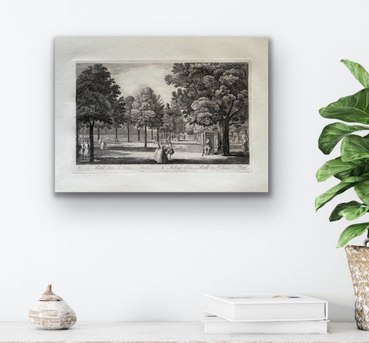 "A View of St. James Park" Engraving