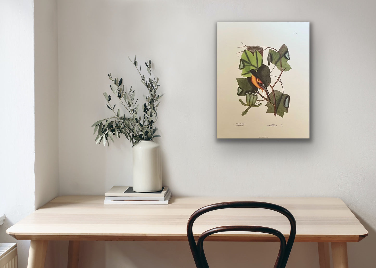 The Tulip Tree, Vintage Art Print, Mark Catesby