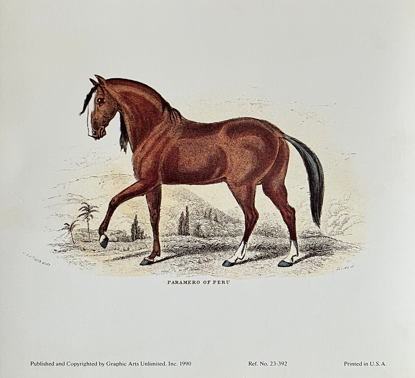 "Paramaro of Peru", Art Print, by Colonel H. Smith
