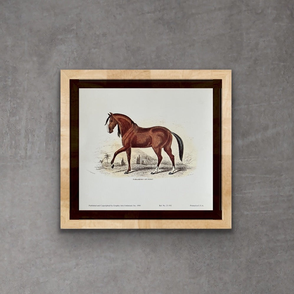 "Paramaro of Peru", Art Print, by Colonel H. Smith