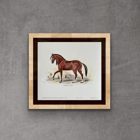 "Paramaro of Peru", Art Print, by Colonel H. Smith
