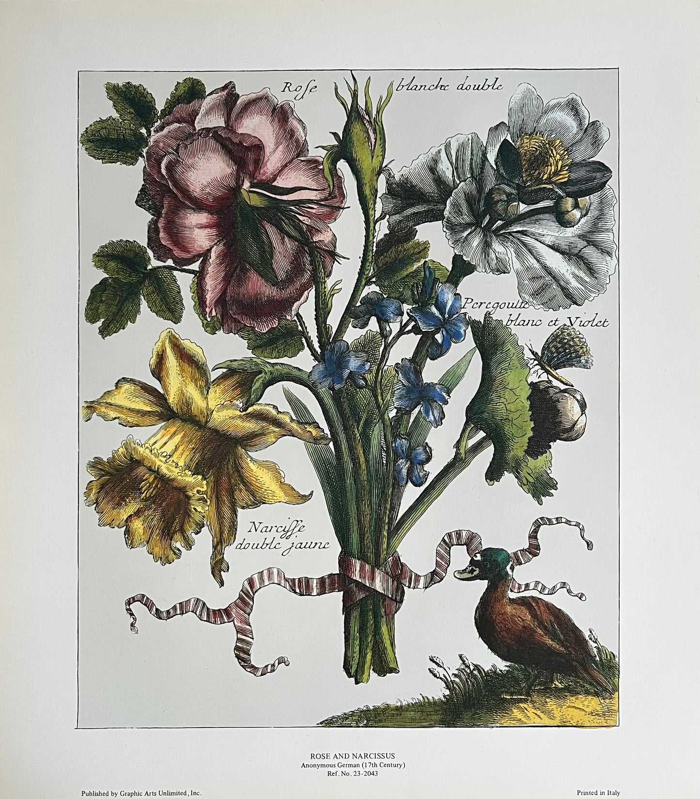 Rose and Narcissus Botanical Art Print