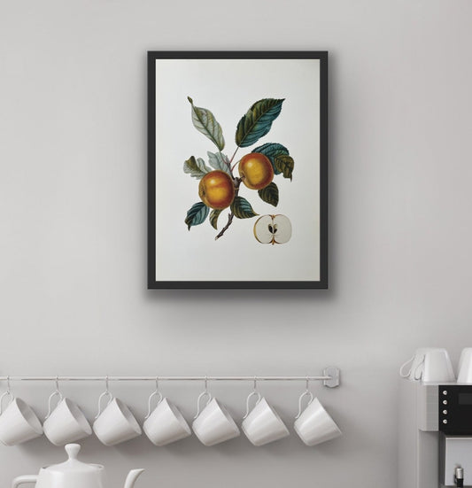 Apple Doux Vintage Art Print
