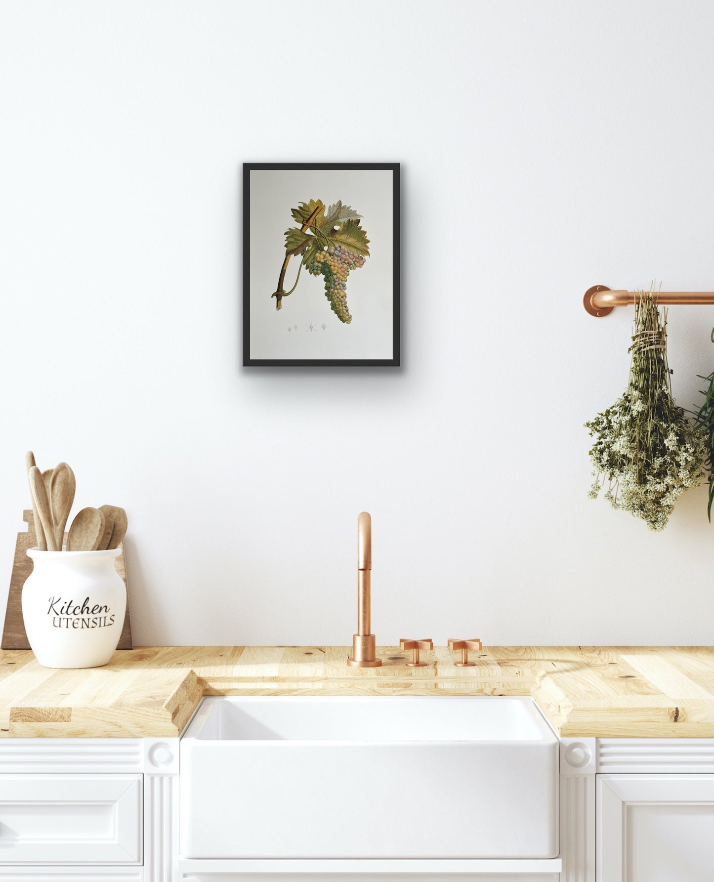 Vermentino Grapes Vintage Prints