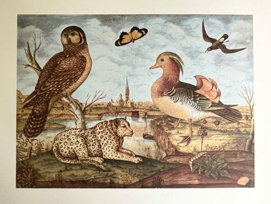 Whimsical Nature Art Print #1