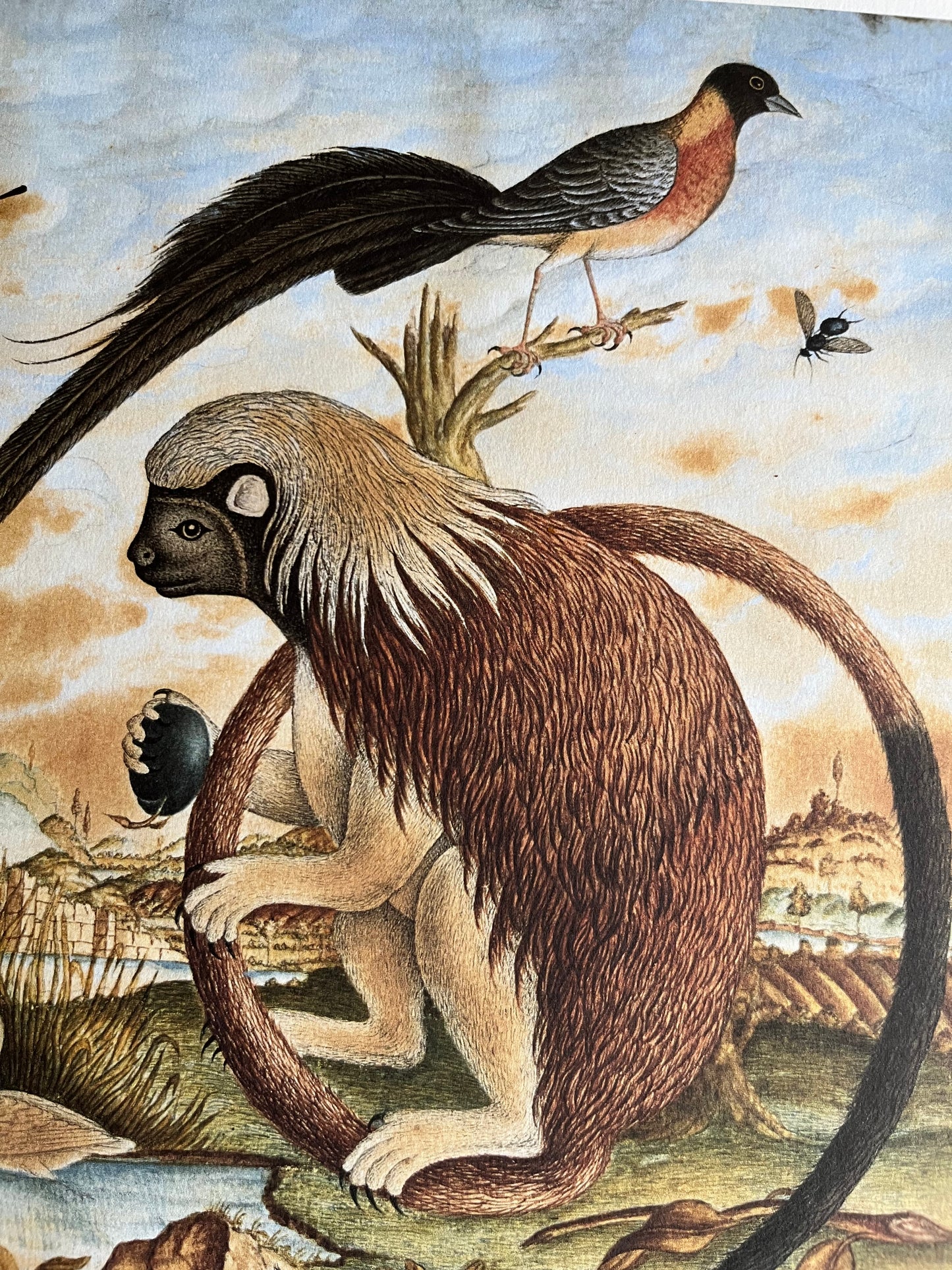 Whimsical Nature Art Print #2