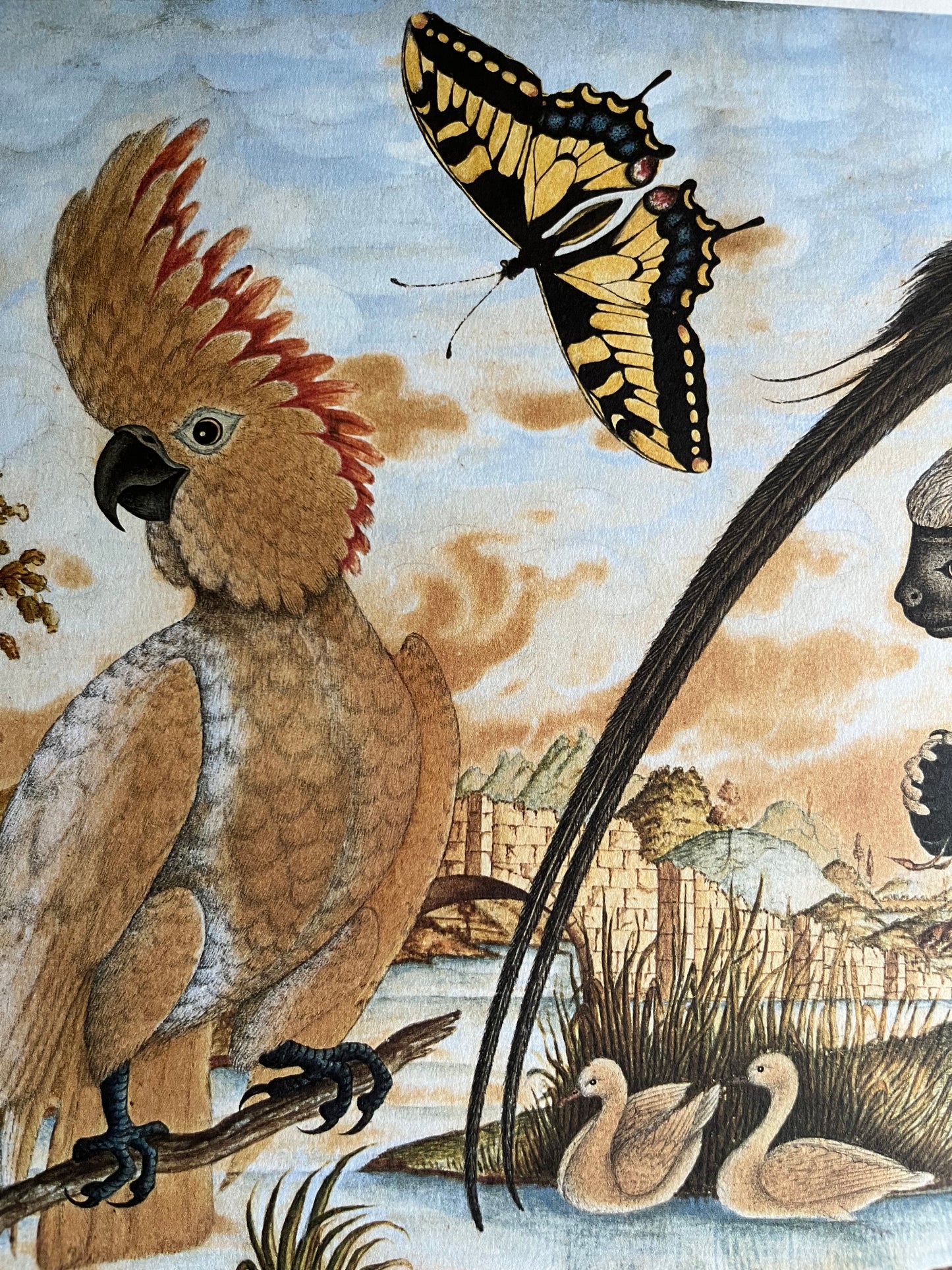 Whimsical Nature Art Print #2