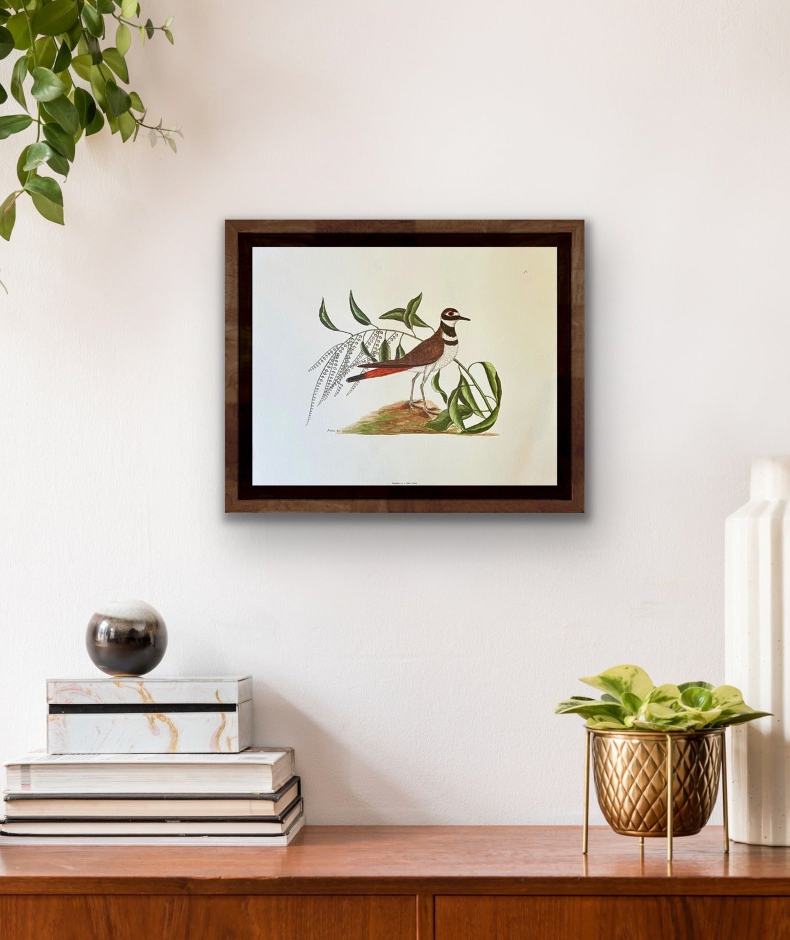 Chattering Plover Art Print