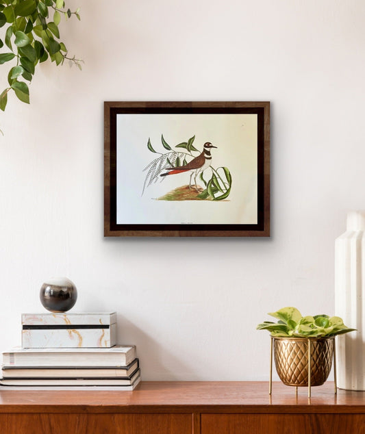 Chattering Plover Art Print