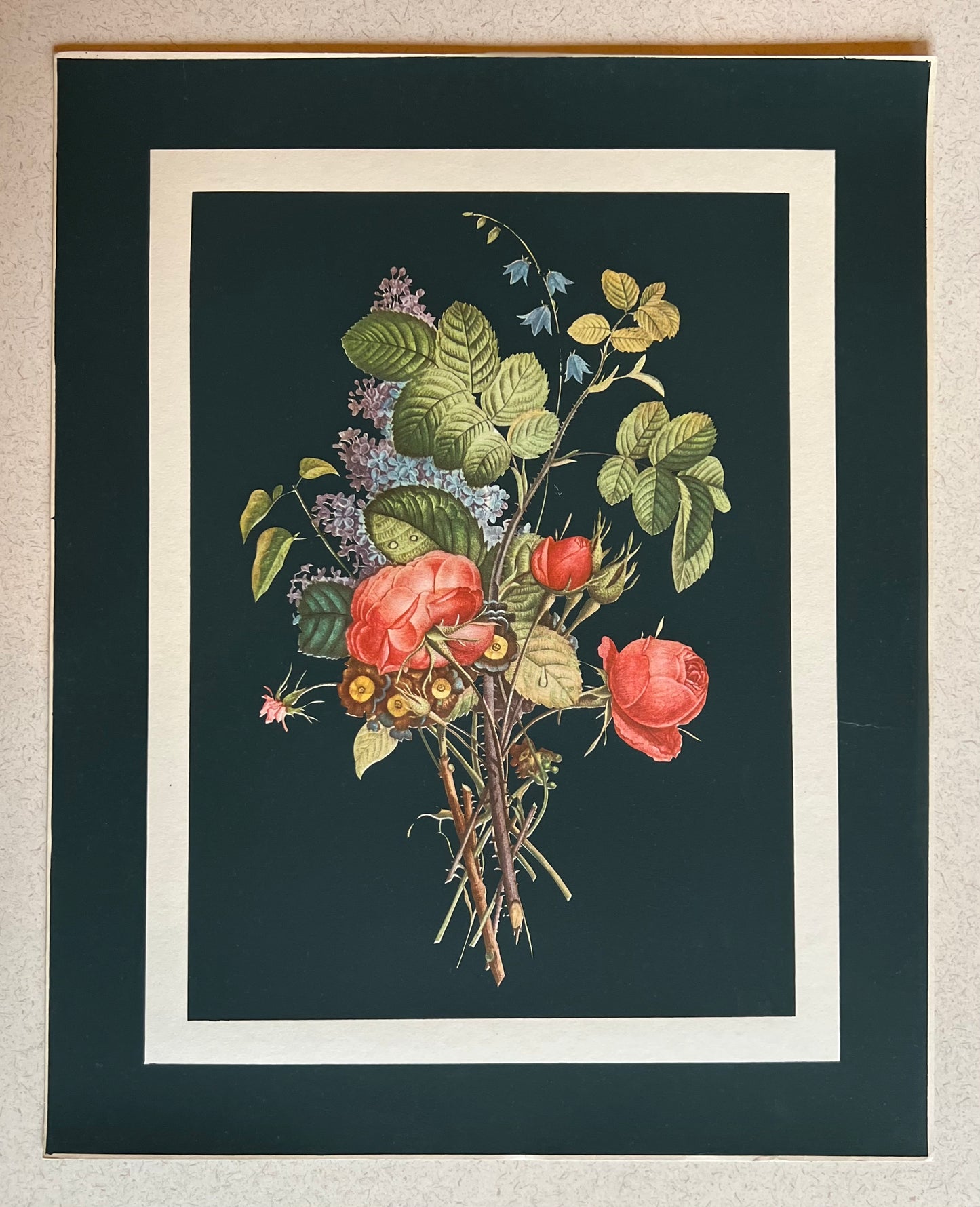 Bouqet lithograph after Jean-Louis Prévost, Mid Century