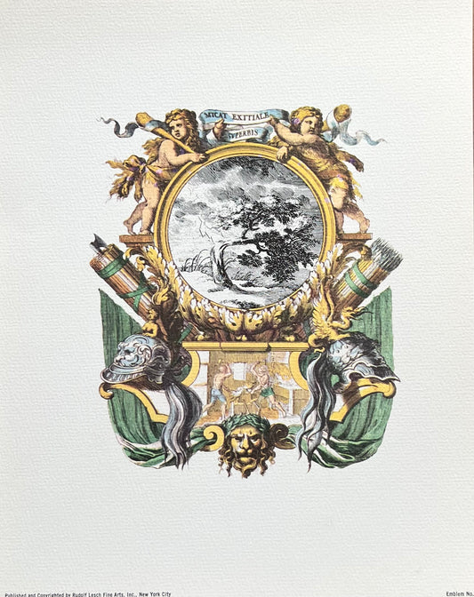 Mini Antique Heraldic Print, 20th century