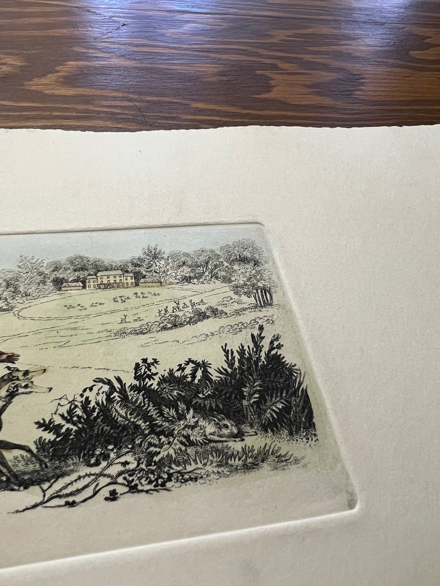 Hunt scene - R. Pollard & Sons