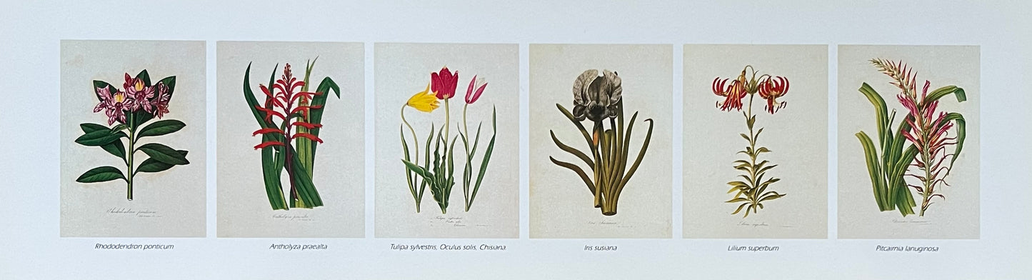 Vintage Floral Small Art Print