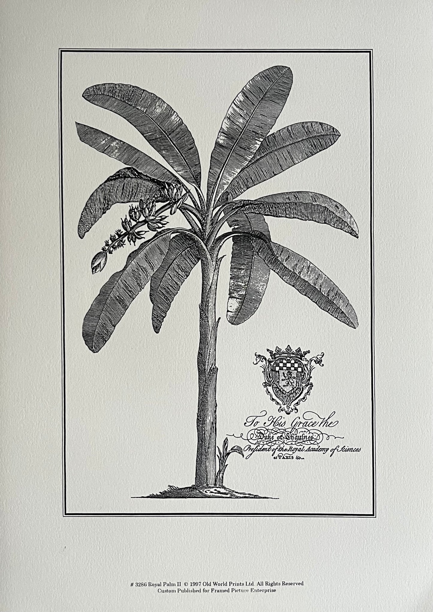 Royal Palm II 1997 Art Prints, Georg Ehret