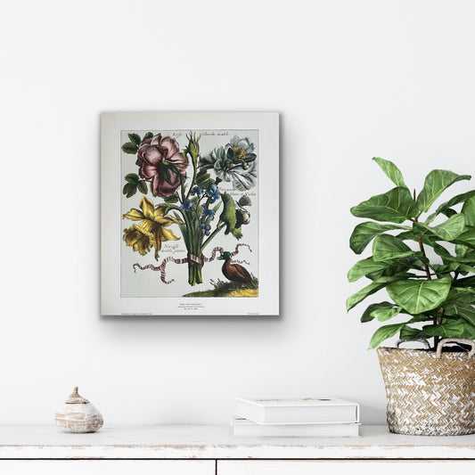 Rose and Narcissus Botanical Art Print