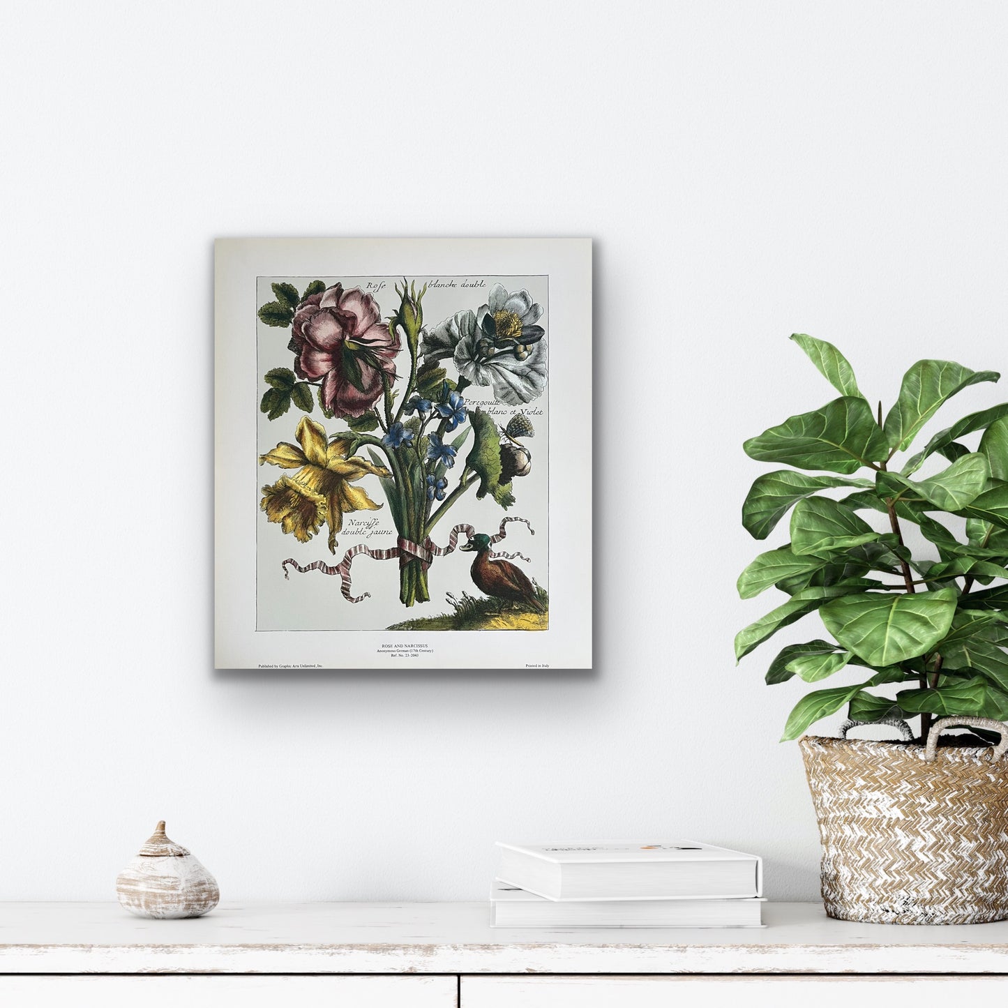 Rose and Narcissus Botanical Art Print