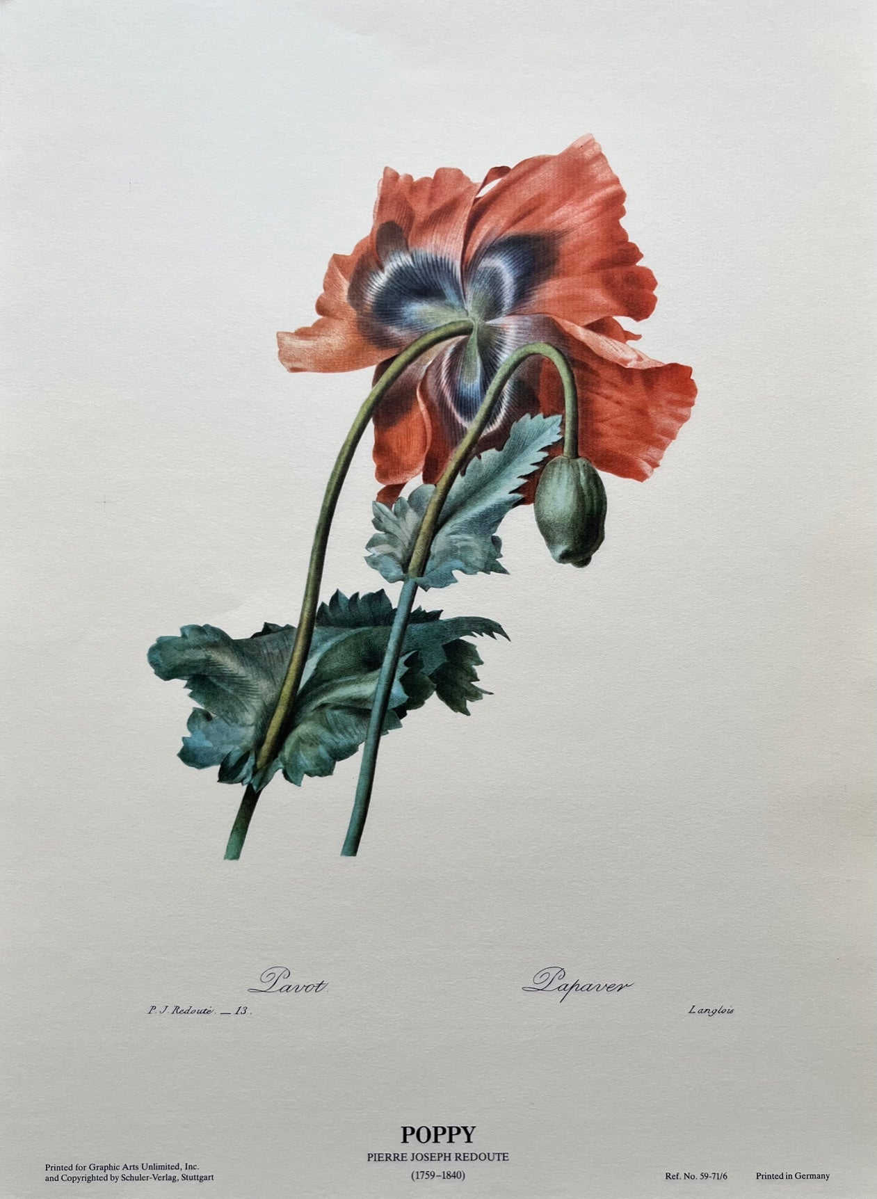 "Poppy" Art Print on Laid Paper